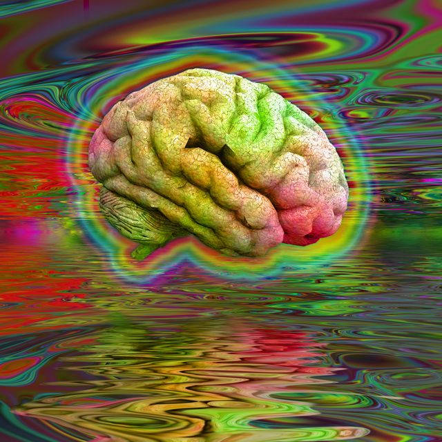 Magic Mushrooms Warp Our Sense of Space, Time, and Self By Disrupting Our Brain Connections, Scientists Say