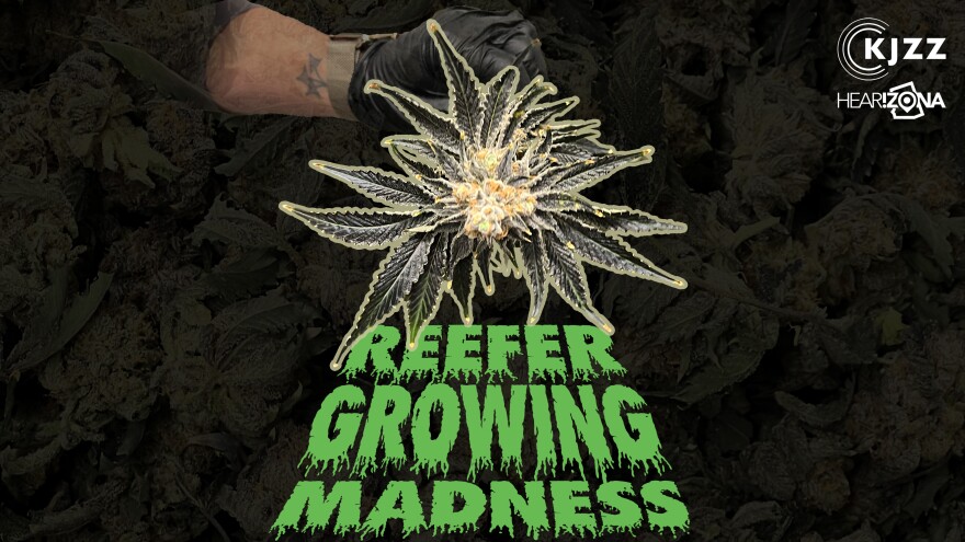 Reefer Growing Madness podcast tracks marijuana plants from clone to smoke
