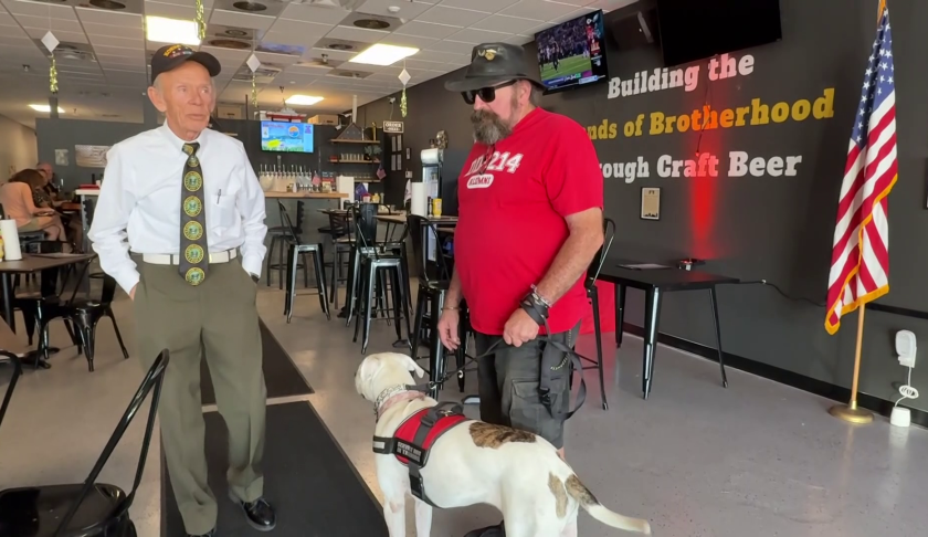 Connecting service dogs with veterans