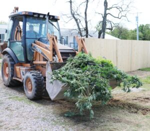 Narcotics officials: Oklahoma’s marijuana underworld worth over $100 billion