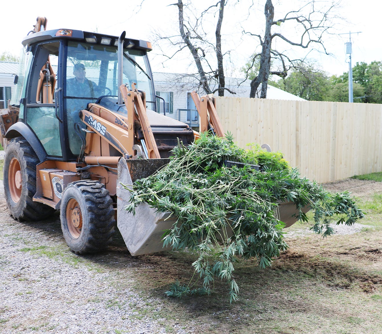 Narcotics officials: Oklahoma’s marijuana underworld worth over $100 billion