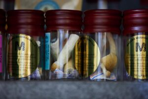 Colorado’s first licensed psilocybin healing center is getting ready to open