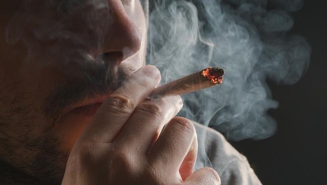 Cannabis Use Again Tied to Increased CVD Risk in Young People