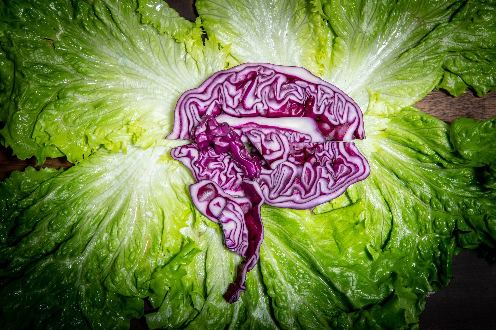 Does a vegetarian diet help or harm your brain? Here’s what the science reveals