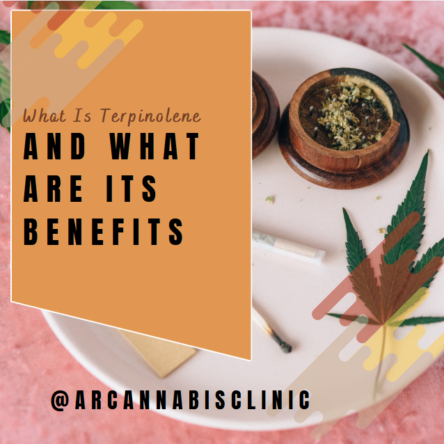 What Is Terpinolene And What Are Its Benefits