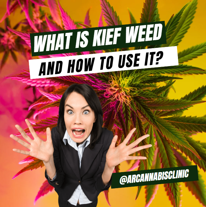 What Is Kief Weed And How To Use It?
