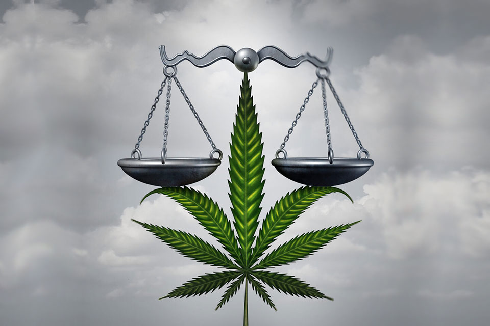 Colorado cannabis chain ownership court battle expands into second lawsuit