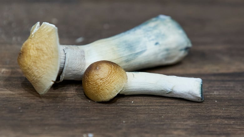 Use of psychedelics is on the rise in Canada. Doctors are starting to look at long-term risks, benefits